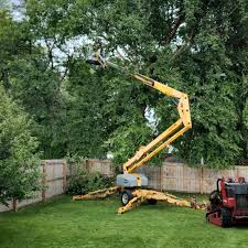 Best Tree and Shrub Care  in Jamestown, NY